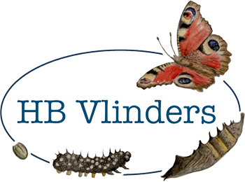 Naar home van HBVlinders